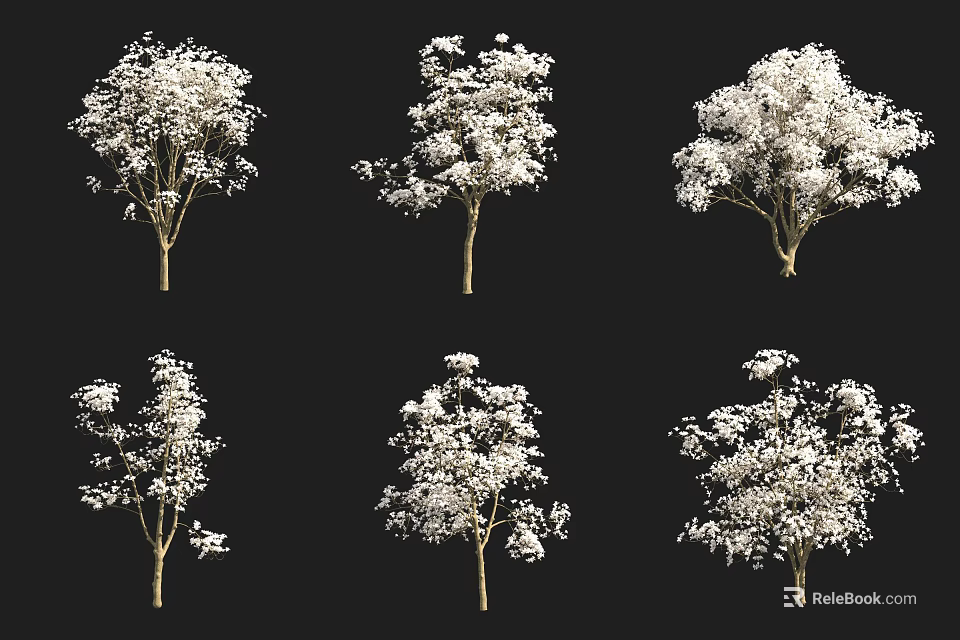 Diverse Arbor Tree 3D Models With Various Canopy Shapes For Landscape Design 3d model