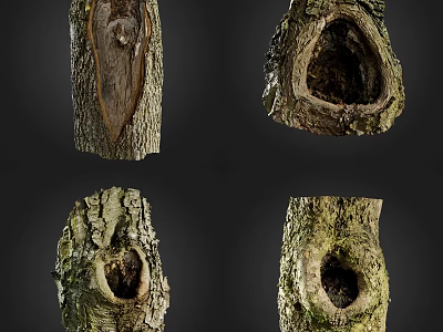Natural Wood Stone Decorative Tree Stump Pieces With Textured Holes And Sections 3d model