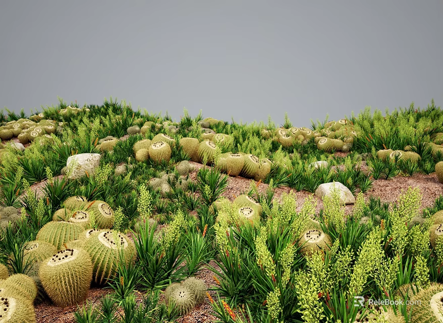 Lush Flowers and Plants Including Round Cacti and Green Foliage Growing on Sandy Soil with Stones 3d model 