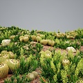 Modern Grassland Shrubs Grass Green Plant Shrubs 3d model