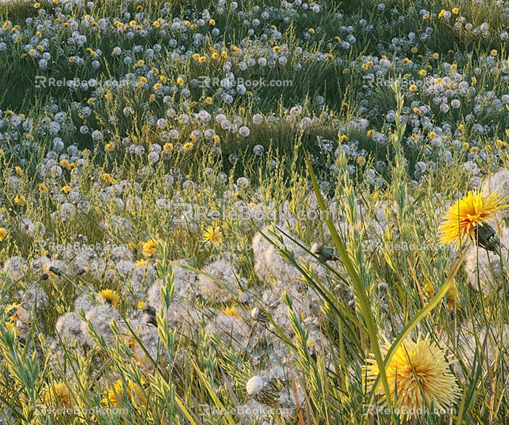 Modern Grassland with Wildflowers 3d model