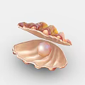 Modern Shell Cartoon Shell 3d model