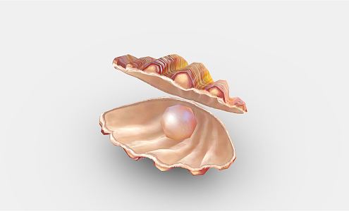 Modern Shell Cartoon Shell 3d model