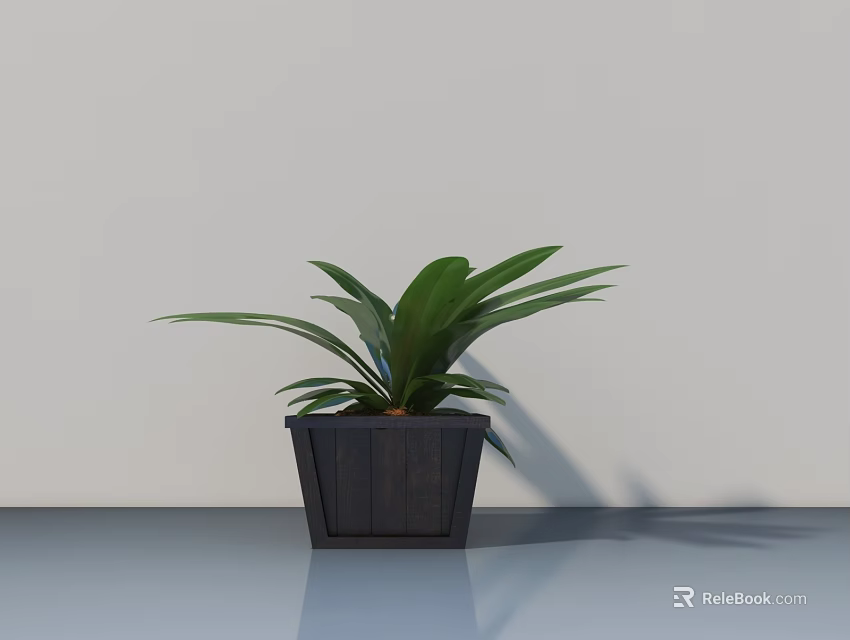 Lush Green Leaf Bonsai Potted Plant In Dark Pot Against Light Wall On Smooth Surface 3d model 