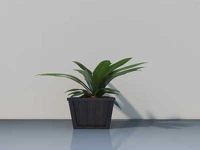 Lush Green Leaf Bonsai Potted Plant In Dark Pot Against Light Wall On Smooth Surface 3d model