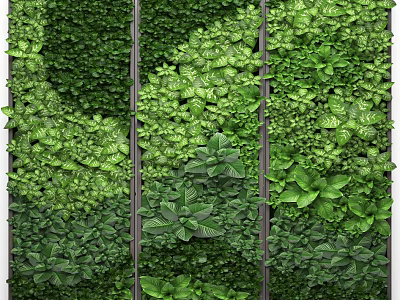 Green Plant Wall Vertical Garden Design With Lush Foliage And Diverse Leaf Shapes 3d model