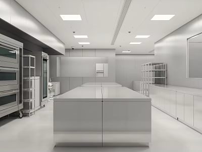 Large Commercial Kitchen With Stainless Steel Workstation Shelves Ovens Storage Cabinets And White Ceiling Lighting 3d model