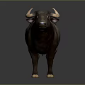 Realistic 3D Model Of Brown Buffalo With Curved Horns And White Hooves