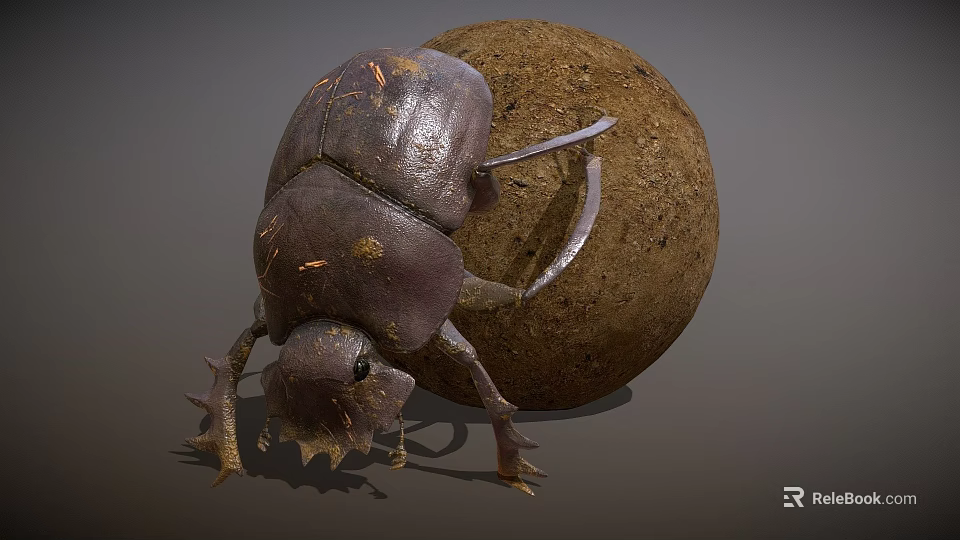 Shiny Dark Brown Reptile Pushing Round Soil Ball On Gray Surface 3d model 