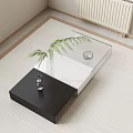 Modern Coffee Table With Black Base Transparent Glass Top Green Plant And Glass Vase