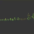 Green Plants in Different Growth Stages with Yellow Flowers on Gray Background and Reflections