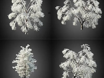 Snow Covered Arbor Trees Displaying Various Frosty Branch Shapes In Winter 3d model
