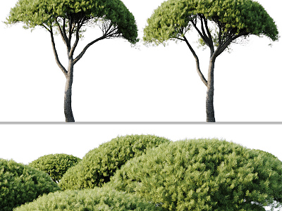 Modern Tree Pine Tree Landscape Tree 3d model