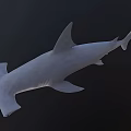 Realistic Hammerhead Shark Swimming With Open Mouth In Dark Ocean Background