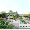 Stunning Garden Landscape With Diverse Plants Outdoor Seating Potted Cacti And Wooden Terrace
