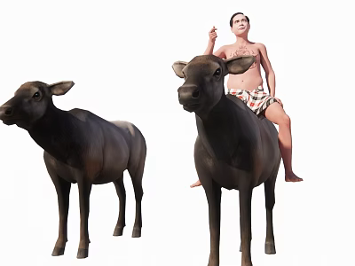 Man Riding Water Buffalo Next to Another Buffalo in Outdoor Scene 3d model