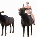 Man Riding Water Buffalo Next to Another Buffalo in Outdoor Scene