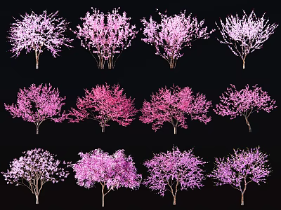Flowering Trees With Various Pink Purple And White Blossom Varieties 3d model
