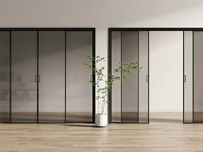 Modern Interior Featuring Glass Sliding Doors With Black Frames Wooden Floor And Green Plant 3d model