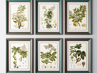 Vintage Botanical Illustrations With Green Frames And Plant Leaves Fruits For Wall Decor 3d model