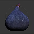 Fresh Ripe Purple Blue Fig as Healthy Organic Fruit on Dark Background