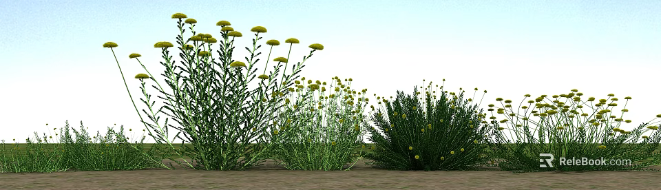 Vibrant Yellow Flowers And Lush Green Plants In Natural Outdoor Setting 3d model 