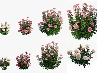 Various Colorful Garden Flowers With Pink And White Roses And Green Leaves 3d model