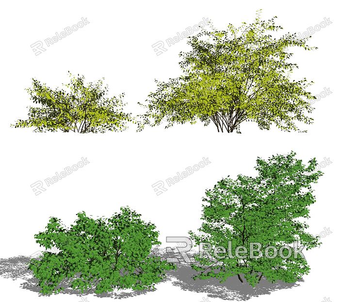 Modern Shrub Plant Shrub model