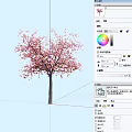 Tall Arbor With Pink Blossoms And Spreading Branches Against Light Blue Sky