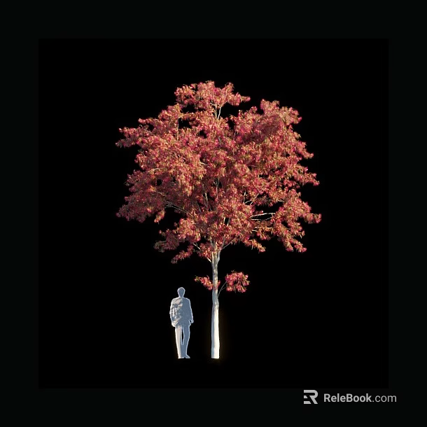 Tall Arbor With Vibrant Red Foliage And Human Silhouette On Black Background 3d model 