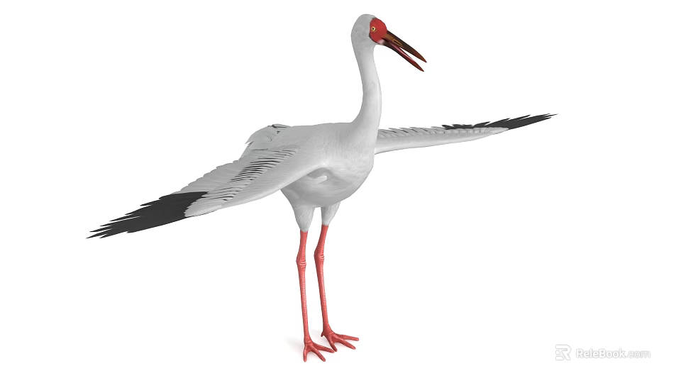 White Stork With White Feathers Red Beak Red Legs And Outstretched Wings 3d model 
