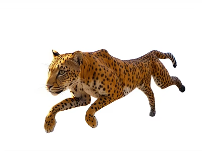 Spotted Reptile With Yellow Black Skin Running Fast On White Background 3d model