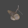 Game Movie Character Stuffed Owl Perched On Wooden Stump With Gray Background
