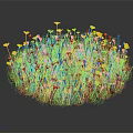 Vibrant Yellow Flowering Plants with Green Leaves in Lush Fresh Cluster