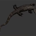 Realistic Komodo Dragon 3D Model Standing On Gray Background With Detailed Skin