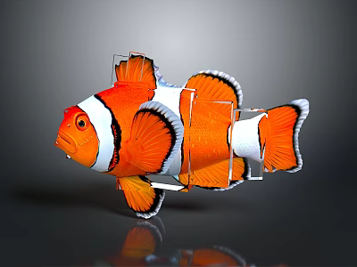 3D Designed Clownfish Sculpture With Orange White Black Stripes And Transparent Frame Support 3d model