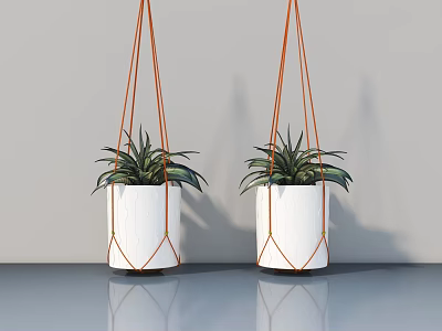 Two Hanging Basket Plants with White Pots and Orange Ropes on Gray Floor with Reflections 3d model