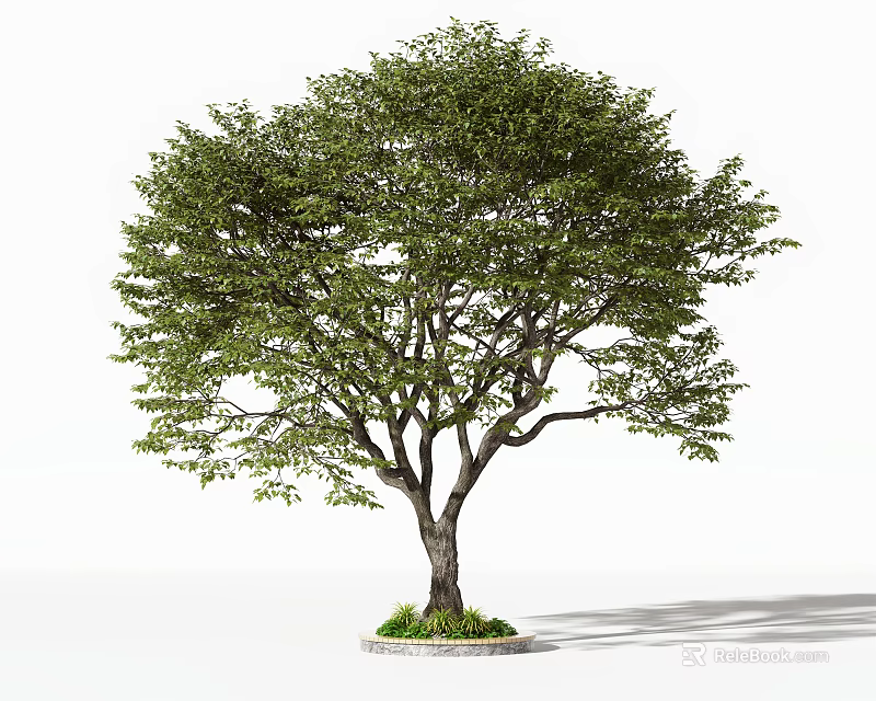 Lush Arbor Tree With Green Foliage Strong Trunk And Grass Base 3d model 