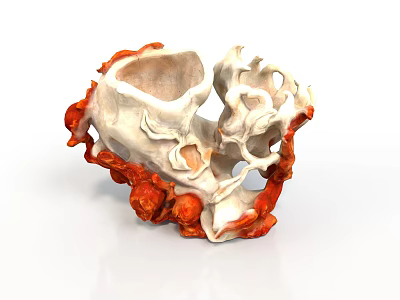 White And Orange Irregular Animal Coral Structure With Textured Design 3d model
