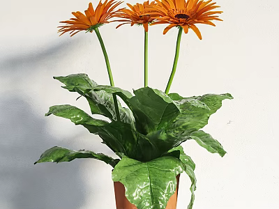 Bonsai Potted Plant With Three Orange Flowers And Large Green Leaves In Brown Pot 3d model