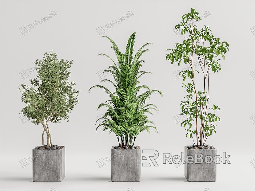 Modern potted plant potted landscape tree model