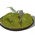 Bonsai Plant in Round Pot with Moss Covered Rocks and Small Fern