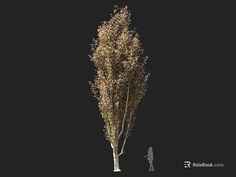 Tall Tree With Light Trunk And Golden Green Leaves Featuring Human Figure For Scale 3d model 