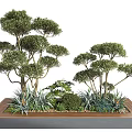 Modern Tree Planter With Green Trees Decorative Shrubs And Small Herbs 3d model