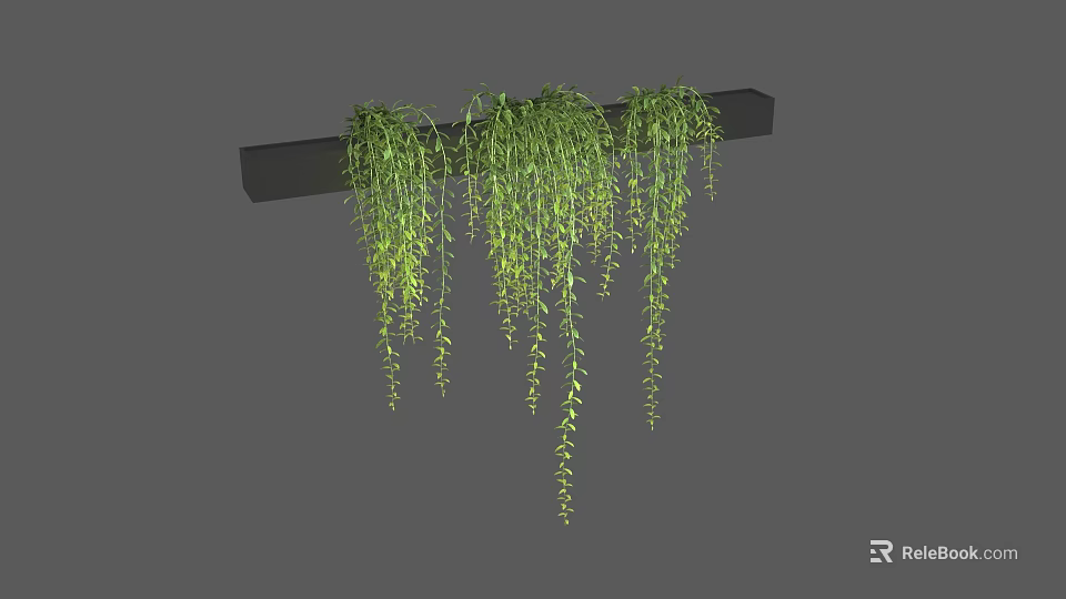 Long Green Hanging Vines Decorative Plant On Black Horizontal Bar 3d model 