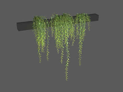 Long Green Hanging Vines Decorative Plant On Black Horizontal Bar 3d model