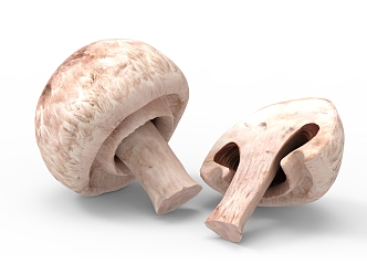 Modern Mushrooms 3d model