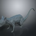 3D Rat Muscle Structure Model For Medical Device Development And Research 3d model