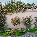 Vibrant Flower Garden With Pink Blossoms Climbing Vines Shrubs Green Lawn And Stone Accents