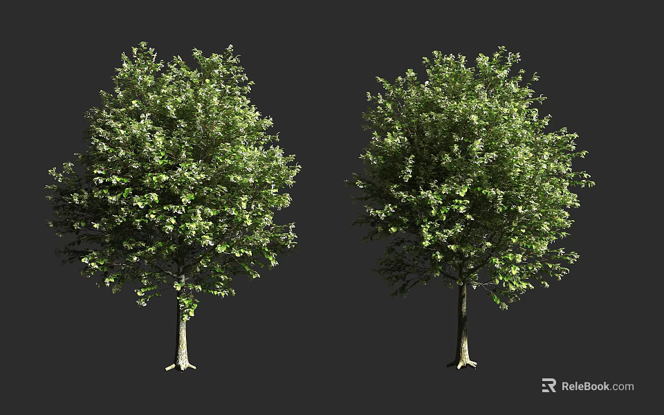 Two Lush Green Arbors With Dense Foliage And Slender Trunks 3d model 